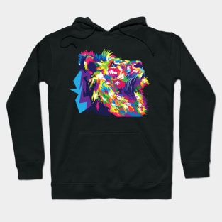 Colourful Majestic Lion Face Aesthetic Hoodie